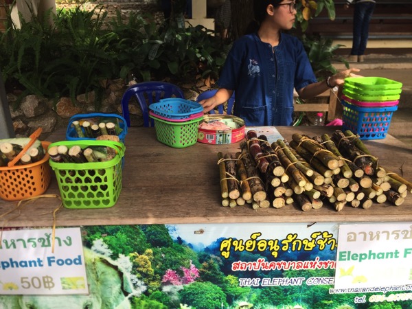 ラムパーン県象保護センターの象の餌のサトウキビ