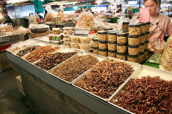 ルアムチョーク市場の昆虫食