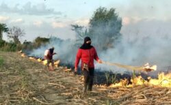 チェンマイの大気汚染：原因と対策（アプリの使い方）