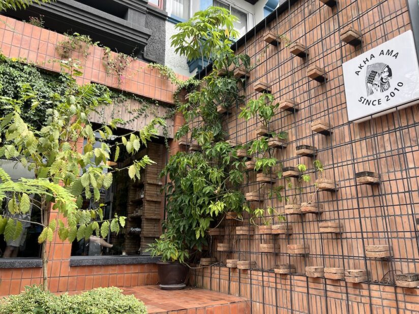 アカアマコーヒープラシンの入り口