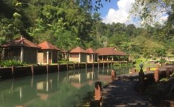 チェンマイのファーン温泉で大自然を満喫！