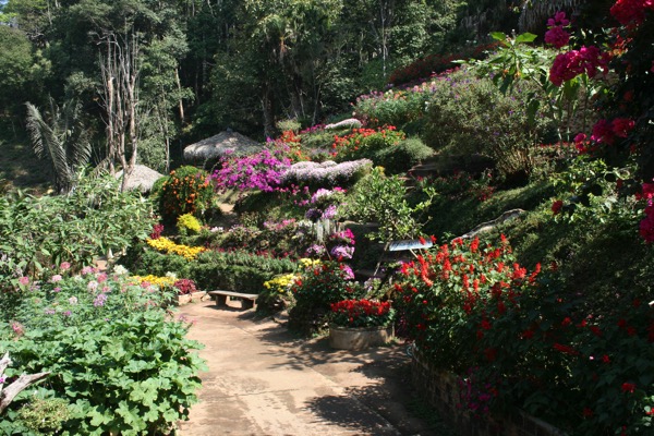 モン族の村の庭園の花畑