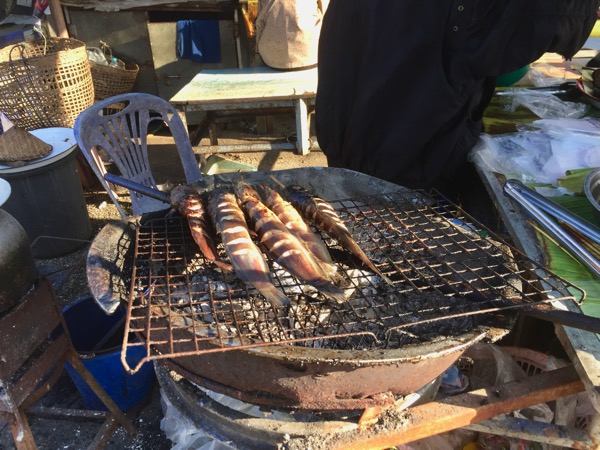 チェンコーンのローカル市場で売っているメコン川でとれた魚