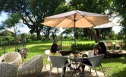 チェンライのカフェ5選　テラス席で優雅に過ごす！