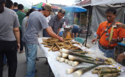 ローカルすぎるチェンマイのトーン・ガイ定期市場【月水金開催】