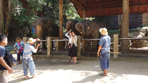 メーサーエレファントキャンプでゾウと一緒に記念写真を撮る観光客
