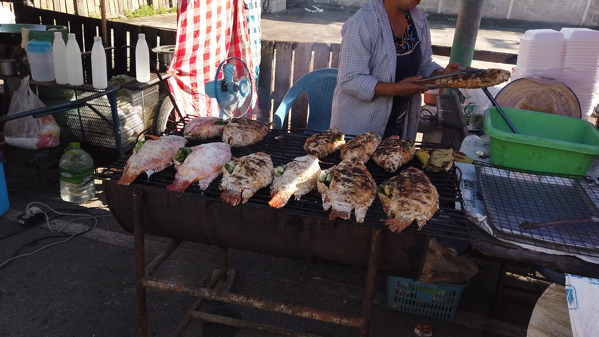 市場の魚
