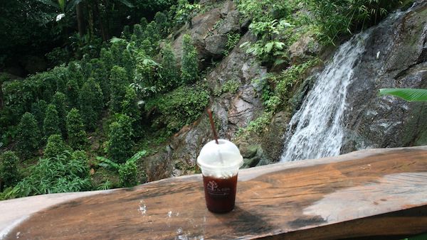 滝の目の前でゴロ寝できるカフェ「Jungle De Cafe」