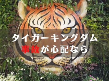 チェンマイで虎とふれあえるタイガーキングダムで事故が心配なら