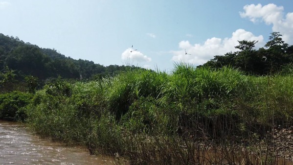DJI 0868 MP4 2019 12 19 11 00 49 765
