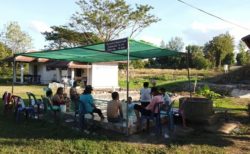 【ポーン・ブア・バーン温泉】喧噪を忘れる癒しのひなびた温泉