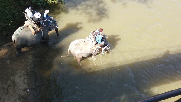 メーテーンエレファントパークで観光客を乗せた象が濁流に入るところ