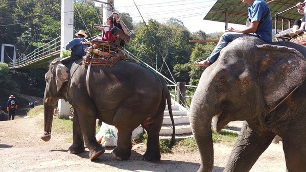 メーテーンエレファントパークの象の背中に乗る観光客
