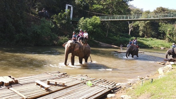 メーテーンエレファントパークで観光客を乗せた象が濁流を歩く姿