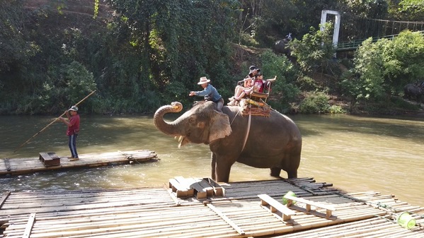 メーテーンエレファントパークで濁流を歩く象にバナナをあげる観光客