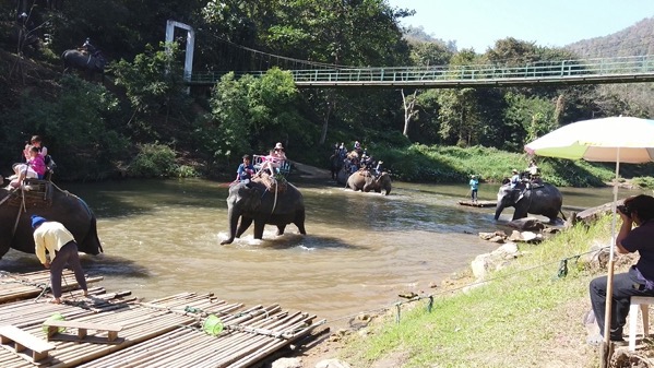 メーテーンエレファントパークで観光客を乗せた象