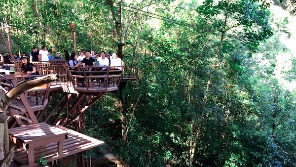 チェンマイ絶景カフェ10選 チェンマイでインスタ映えを狙うならここ