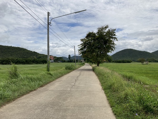 ランプーン県のドーイ・カモーの聖水へ向かう道の両側に広がる田園風景