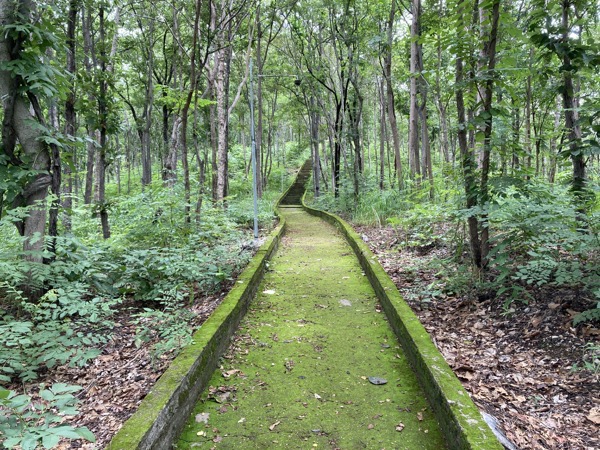 ドーイ・カモーの1749段の石段の周りの森林