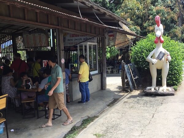 IMG_1381.jpeg IMG 1381