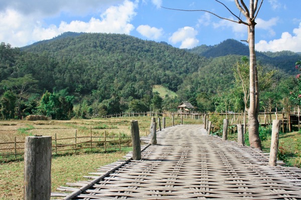 パンボック村の田園に架かる竹橋（バンブーブリッジ）