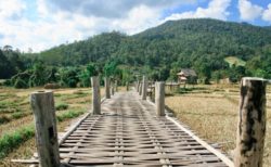 パーイのバンブーブリッジ