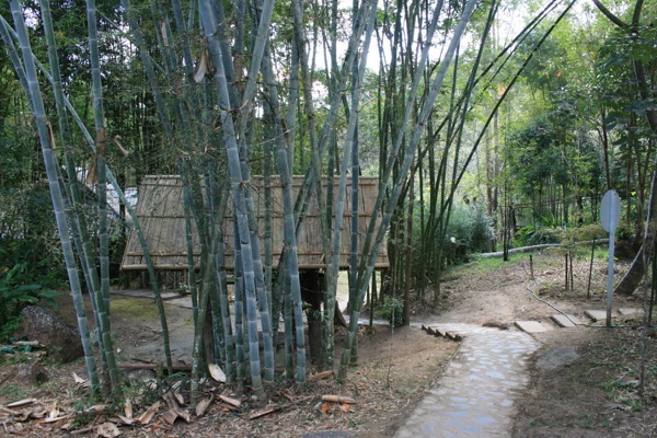 ワット・ペームボック境内の竹林