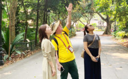 チェンマイを知り尽くした現地ツアー会社・旅行会社まとめ