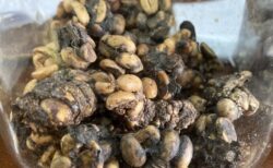 チェンマイなら世界一高価なコーヒー「コピ・ルアク」が１杯500円