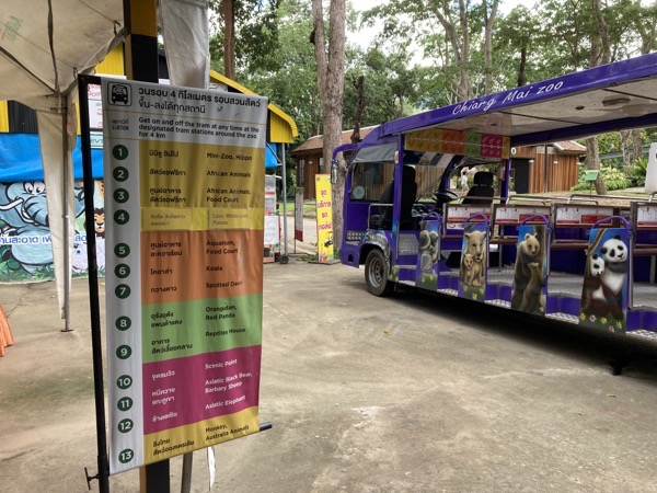 チェンマイ動物園の園内をまわるトラムバス