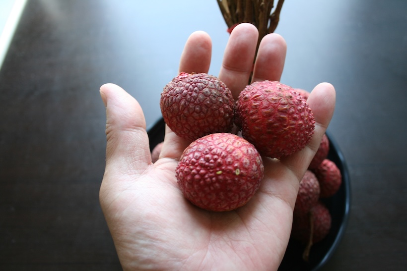 チャクラパットという品種の大粒ライチ。タイ語で皇帝を意味し、大きいものは卵ほどにもなります。