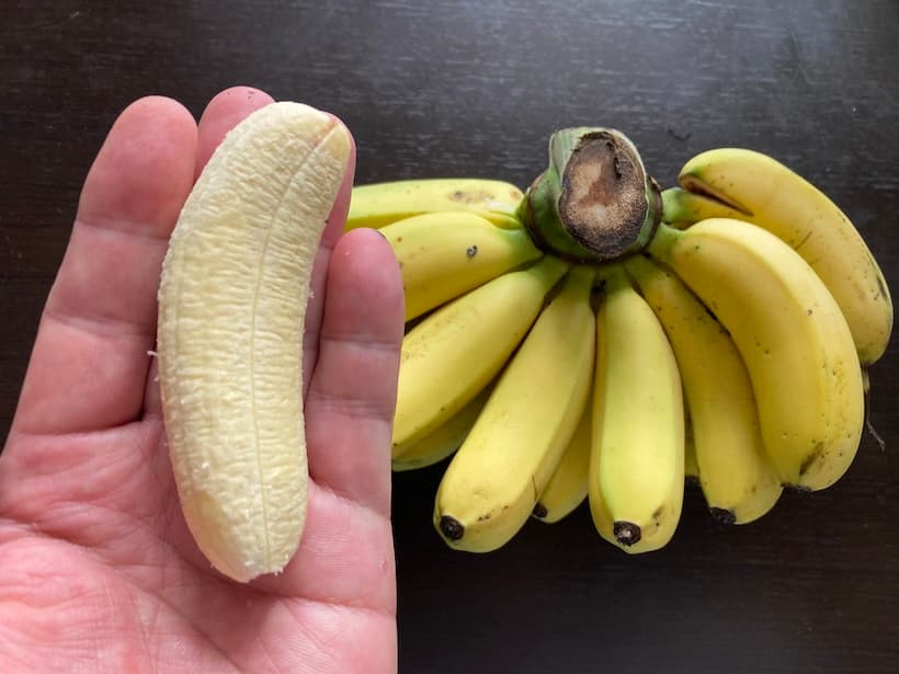 卵のようにコロンと小さく、濃厚な甘みが特徴のクルアイカイ。