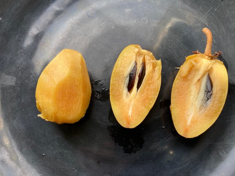 皮を剥いたラムット（ละมุด）の褐色の果肉