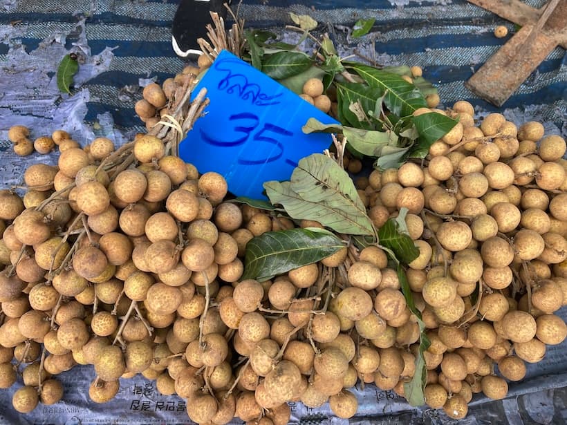 市場に並ぶラムヤイ（ลำใย）。チェンマイ名産の甘い果物。