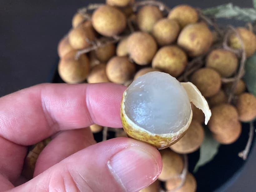 皮を剥いたラムヤイ（ลำใย）の果肉