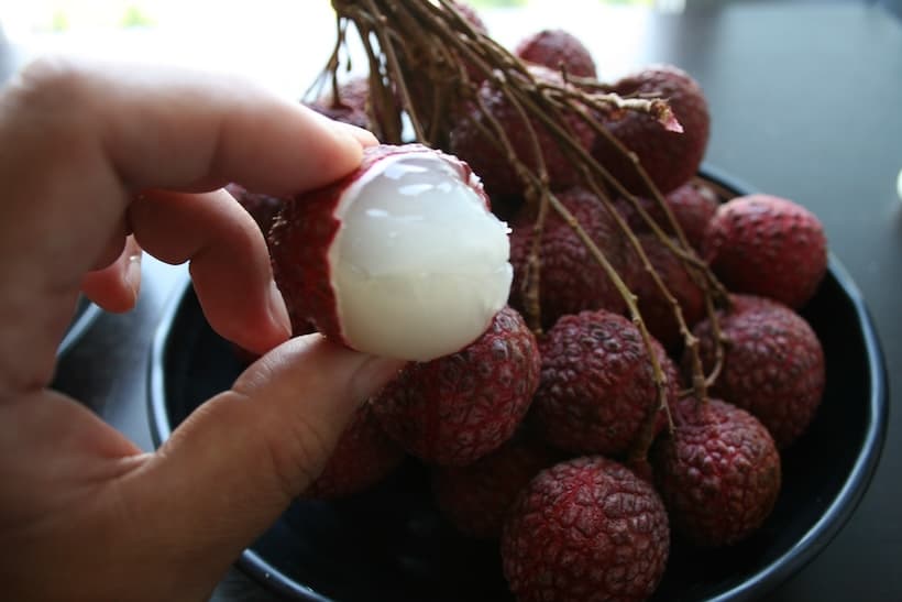 皮を剥いたライチ。白く透明感のある果肉がみずみずしい。