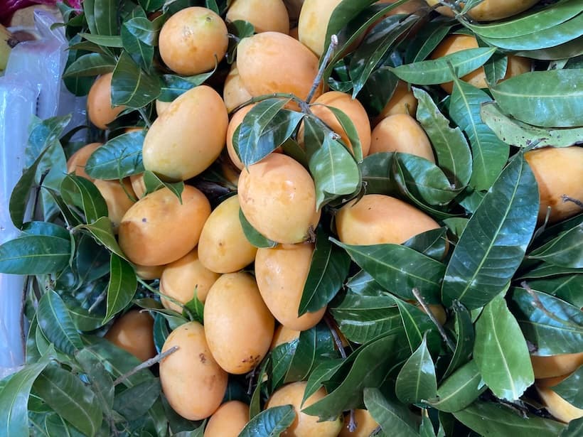 市場に並ぶマヨンチット（Mayongchid／มะยงชิด）