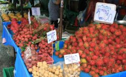 タイの屋台に並ぶさまざまな種類の果物